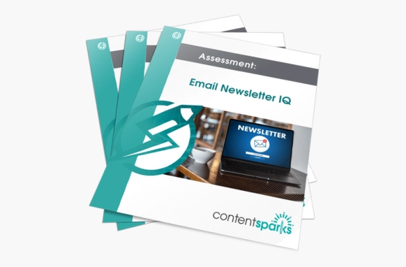 Email Newsletter IQ PLR Assessment