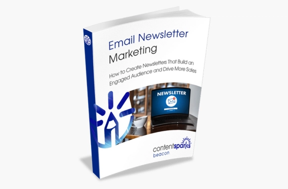 Email Newsletter Marketing PLR Course