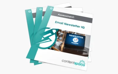 Email Newsletter IQ PLR Assessment