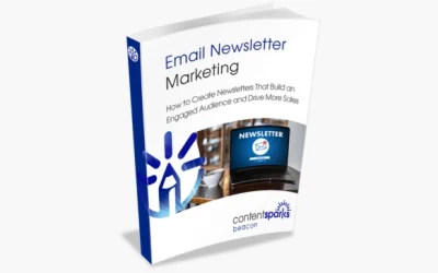 Email Newsletter Marketing PLR Course